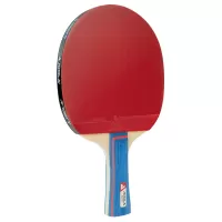 TABLE TENNIS RACKET MATCH Joola