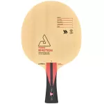 Professional Hölzer