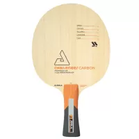 Holz Challenger Carbon Joola