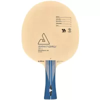 Holz Santoru 3K-C Joola