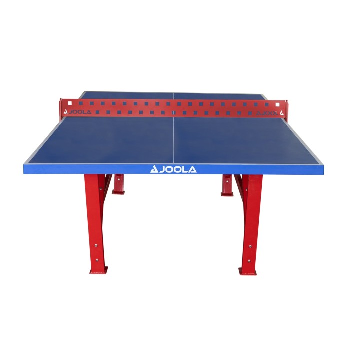 JOOLA Tischtennisplatte Externa