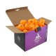 JOOLA Tischtennisball Magic ABS 40+