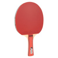 TABLE TENNIS RACKET TEAM JUNIOR Joola