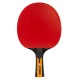 Tischtennisschläger Carbon Control Joola