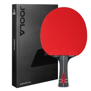 Tischtennisschläger Infinity Z Carbon Joola