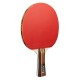 Tischtennis-Set JOOLA Family Advanced Joola