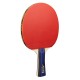 Tischtennis-Set JOOLA Family Advanced Joola